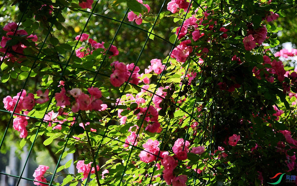 808 (44)_����.jpg