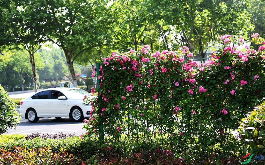 808 (33)_����_����.jpg