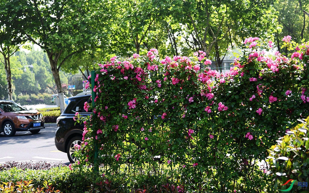 808 (34)_����_����.jpg