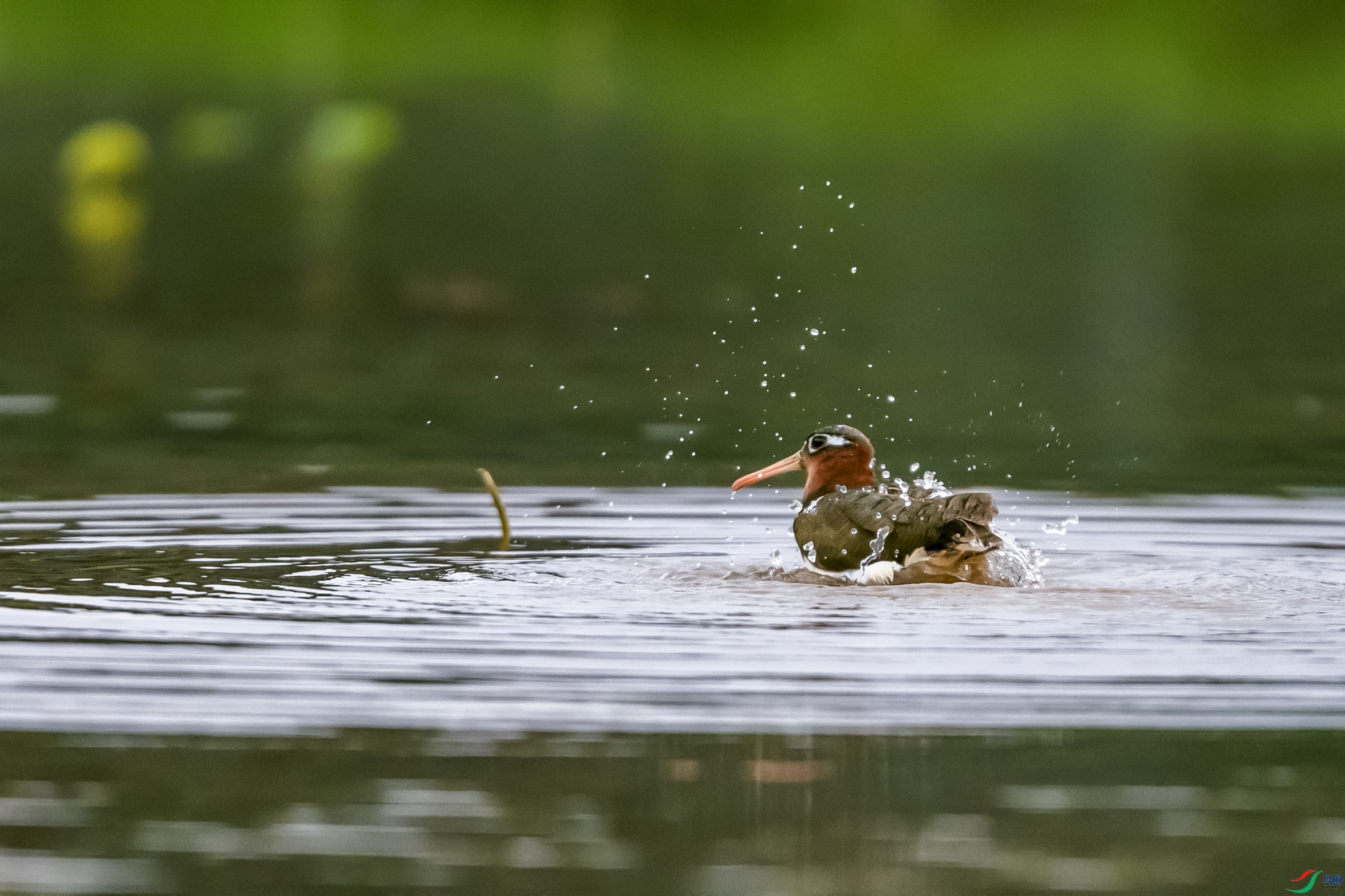 AK2Y4103 ����.jpg