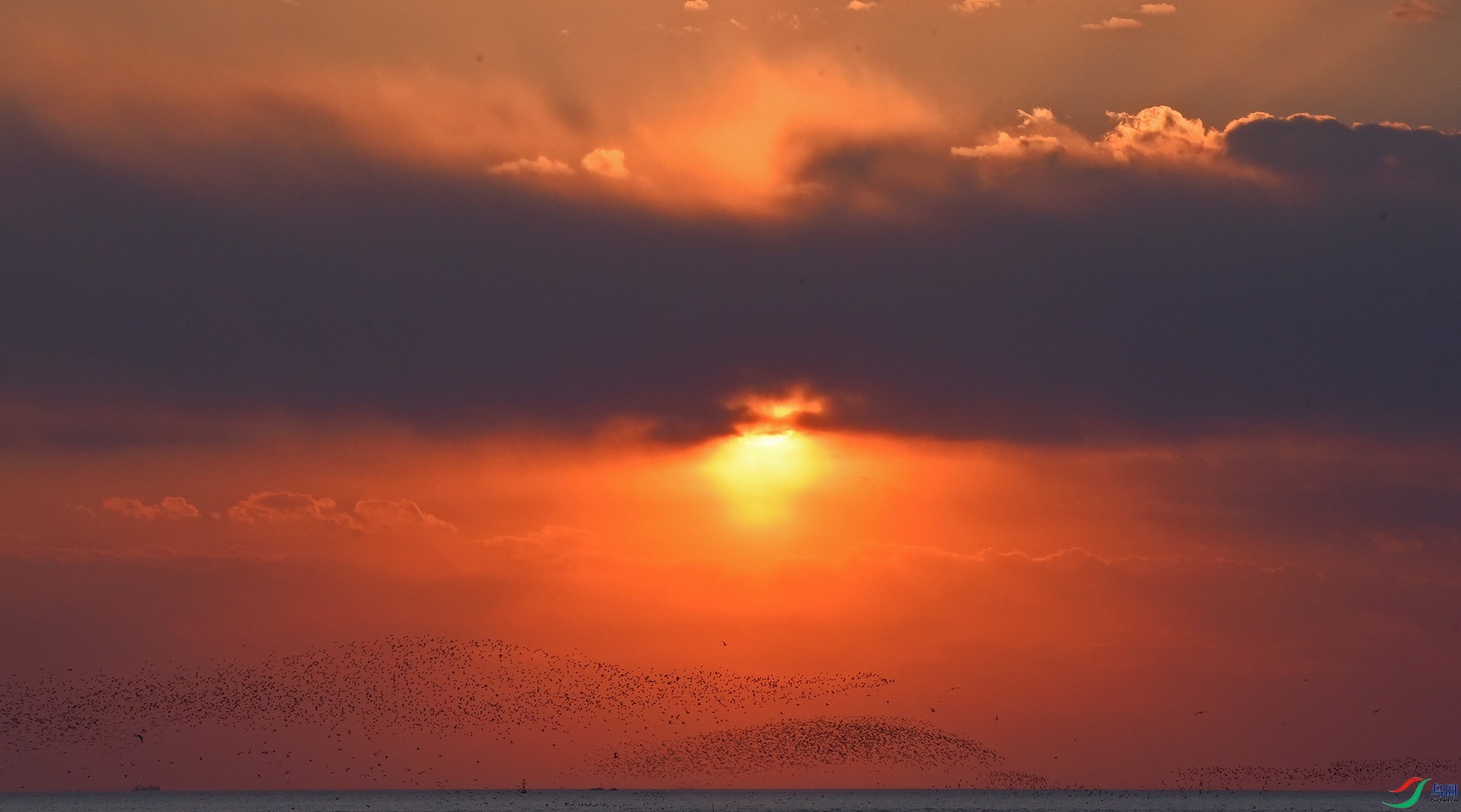 DSC_9453d11.jpg