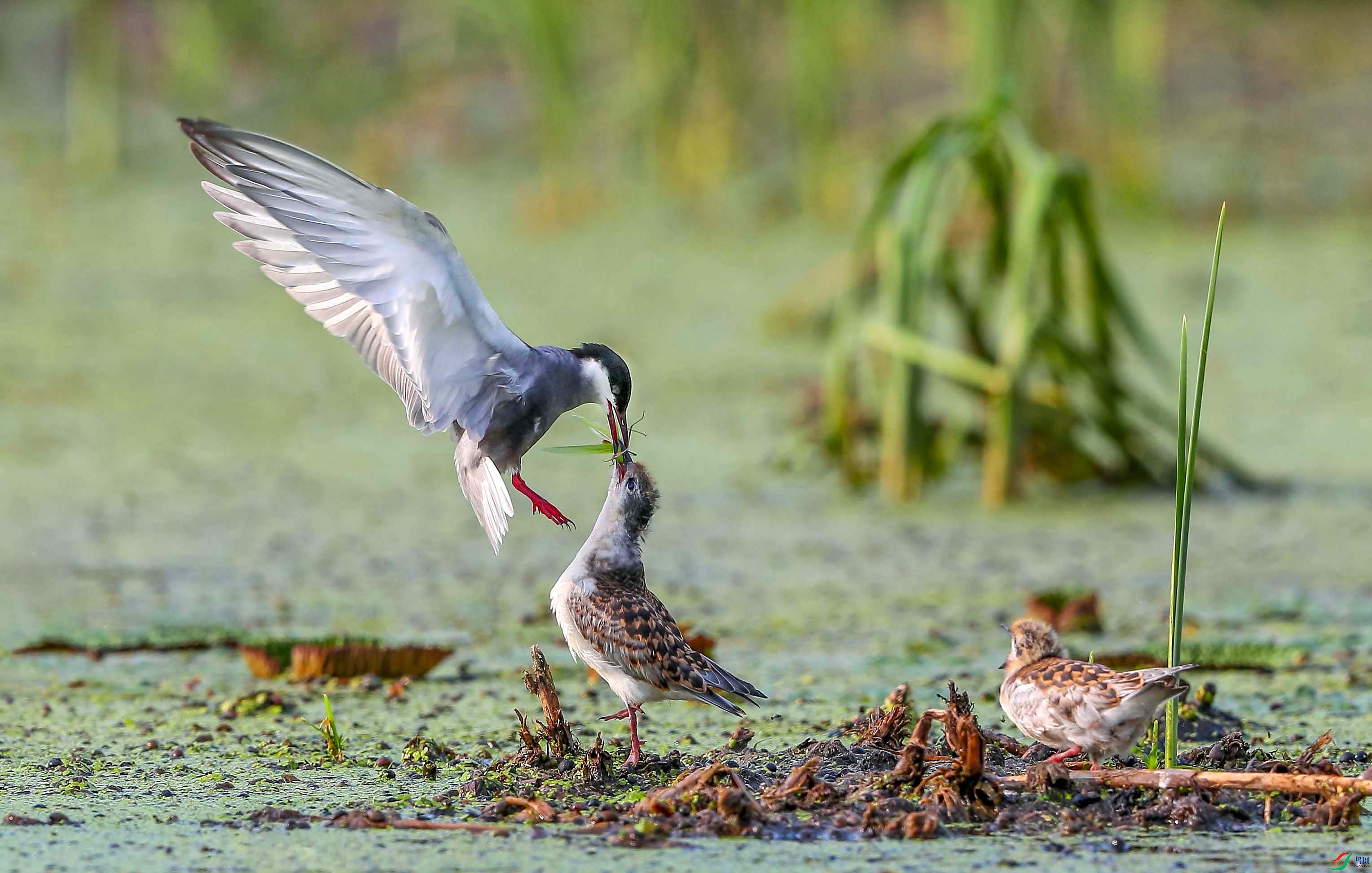 æµ������