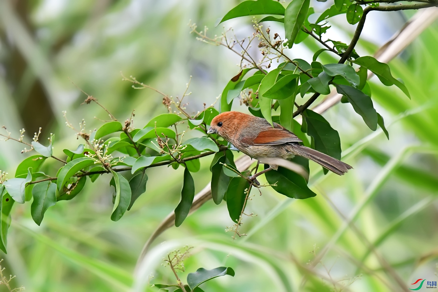 DSC_9708.jpg