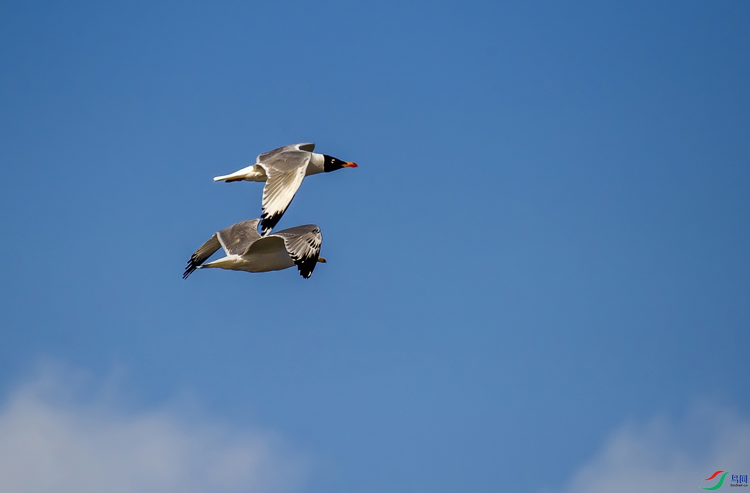 DS1_0564.jpg