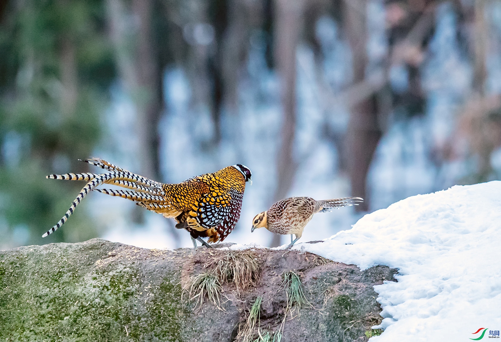 _U5I0209.jpg