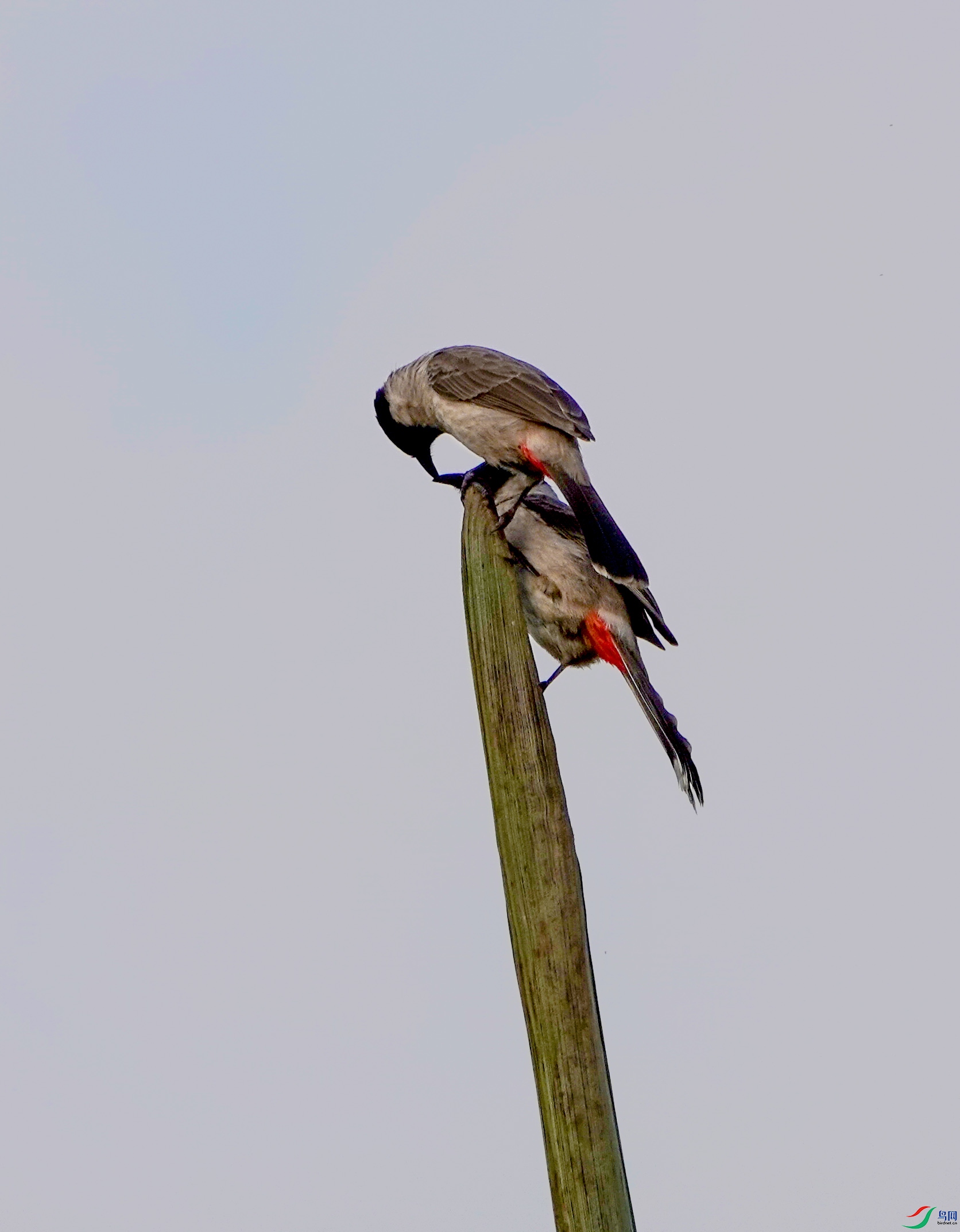 DSC07811.JPG
