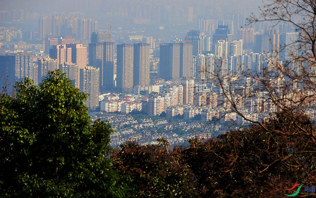 810 (59)_����.jpg