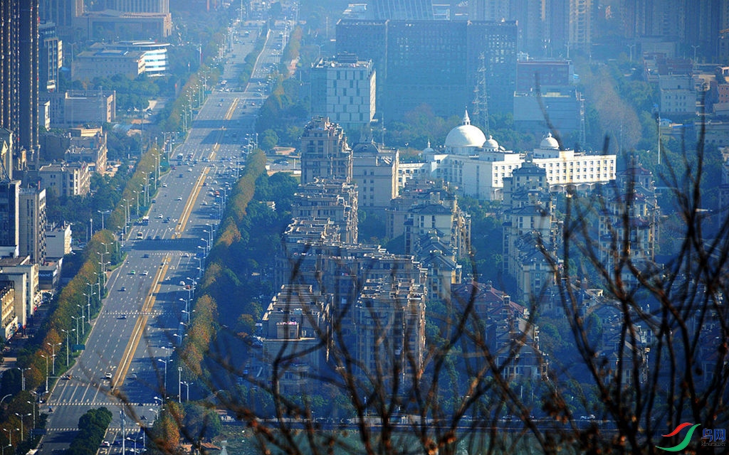 810 (61)_����.jpg