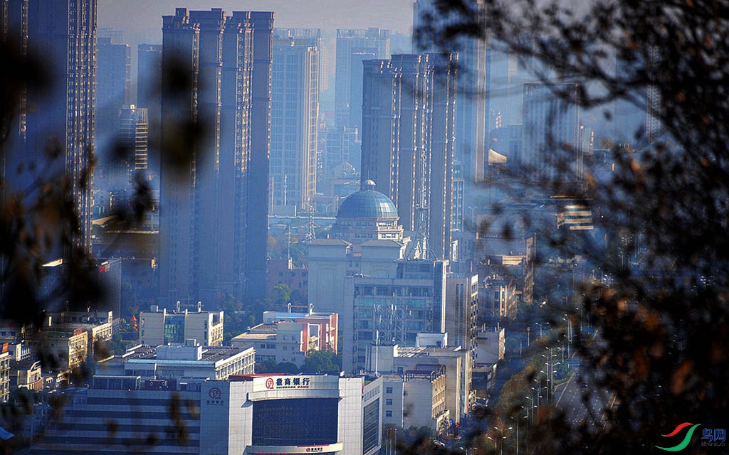 810 (62)_����.jpg