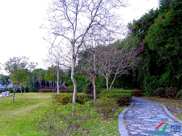 DSC00720.JPG