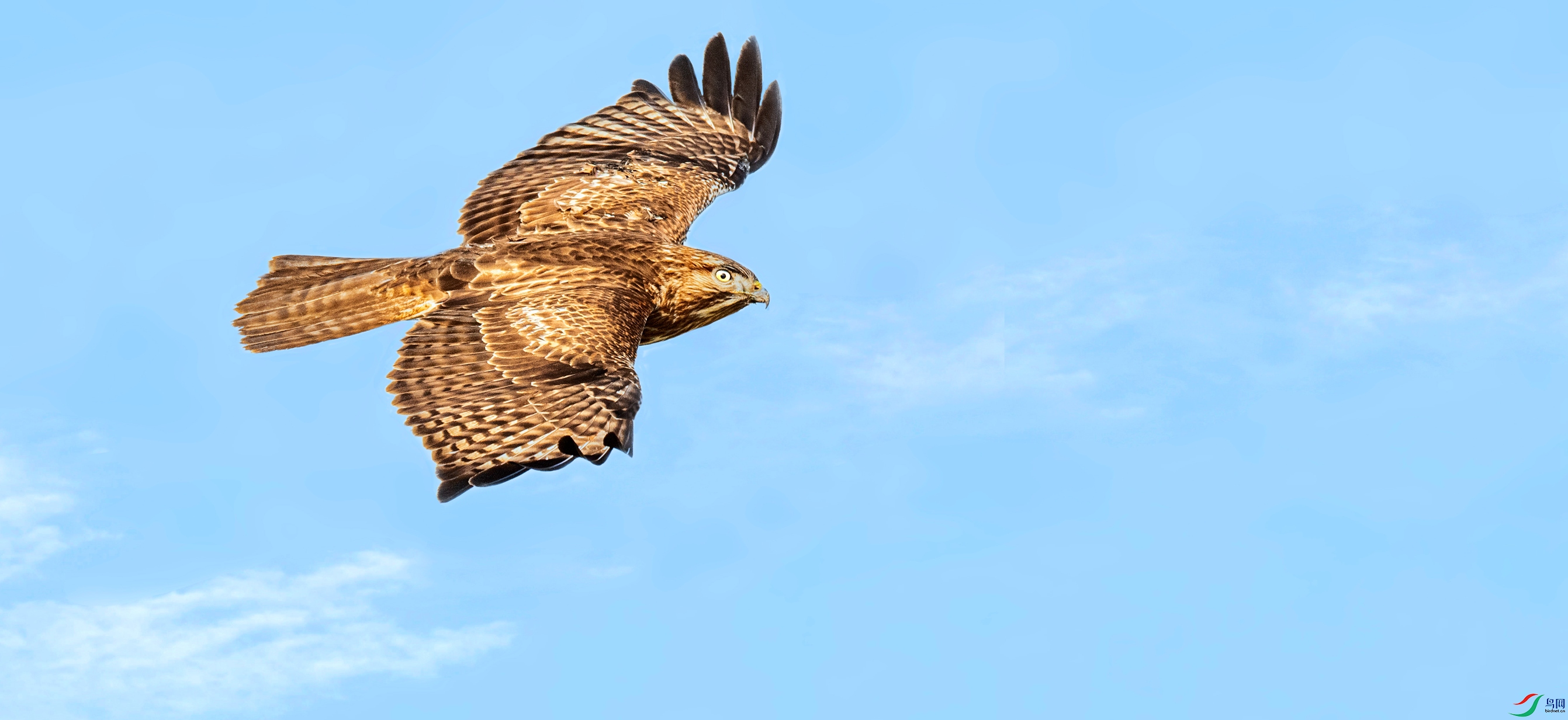 AAG_4843_����.jpg