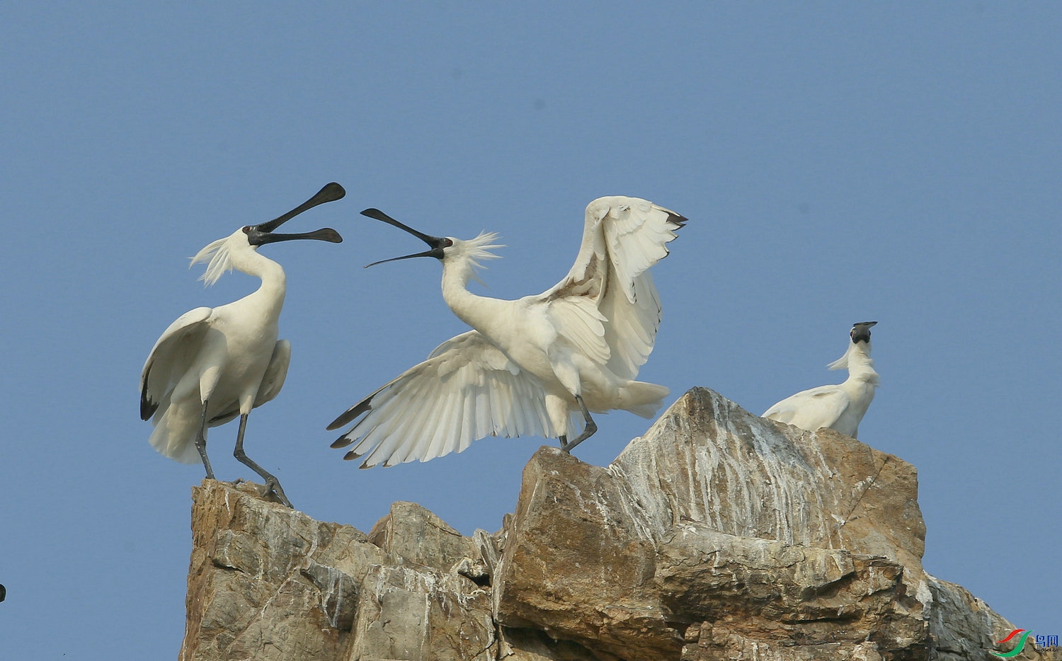 A 25 ����.jpg