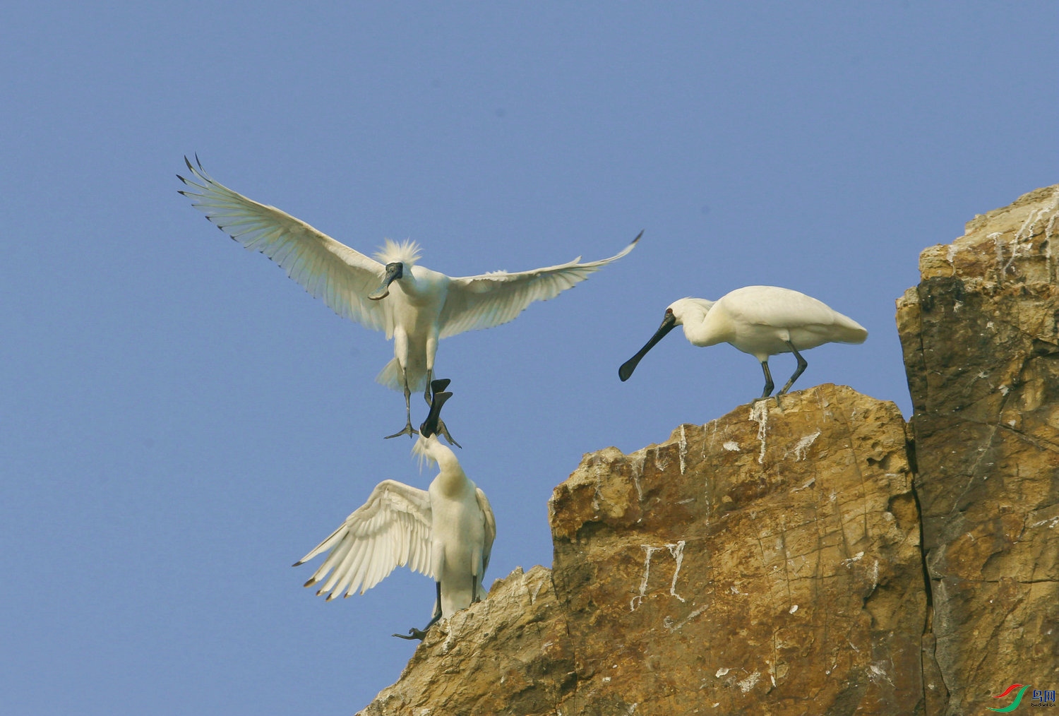 6937 ����.jpg