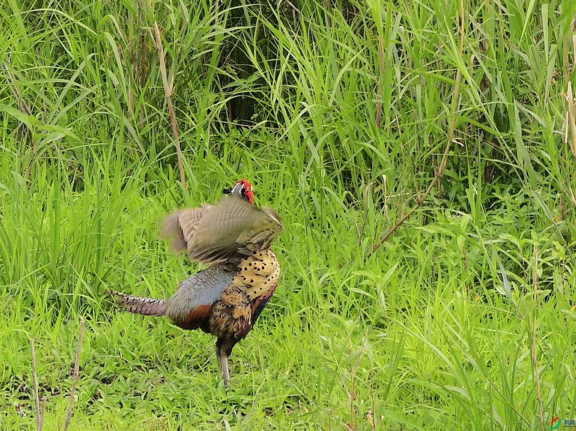 _D5D2962.jpg