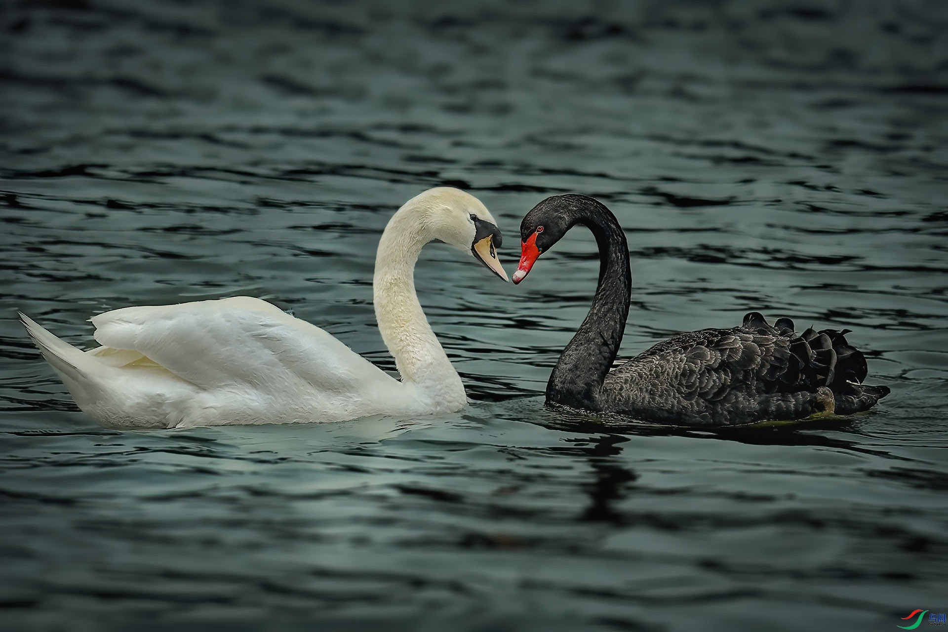 DSC_8913.jpg