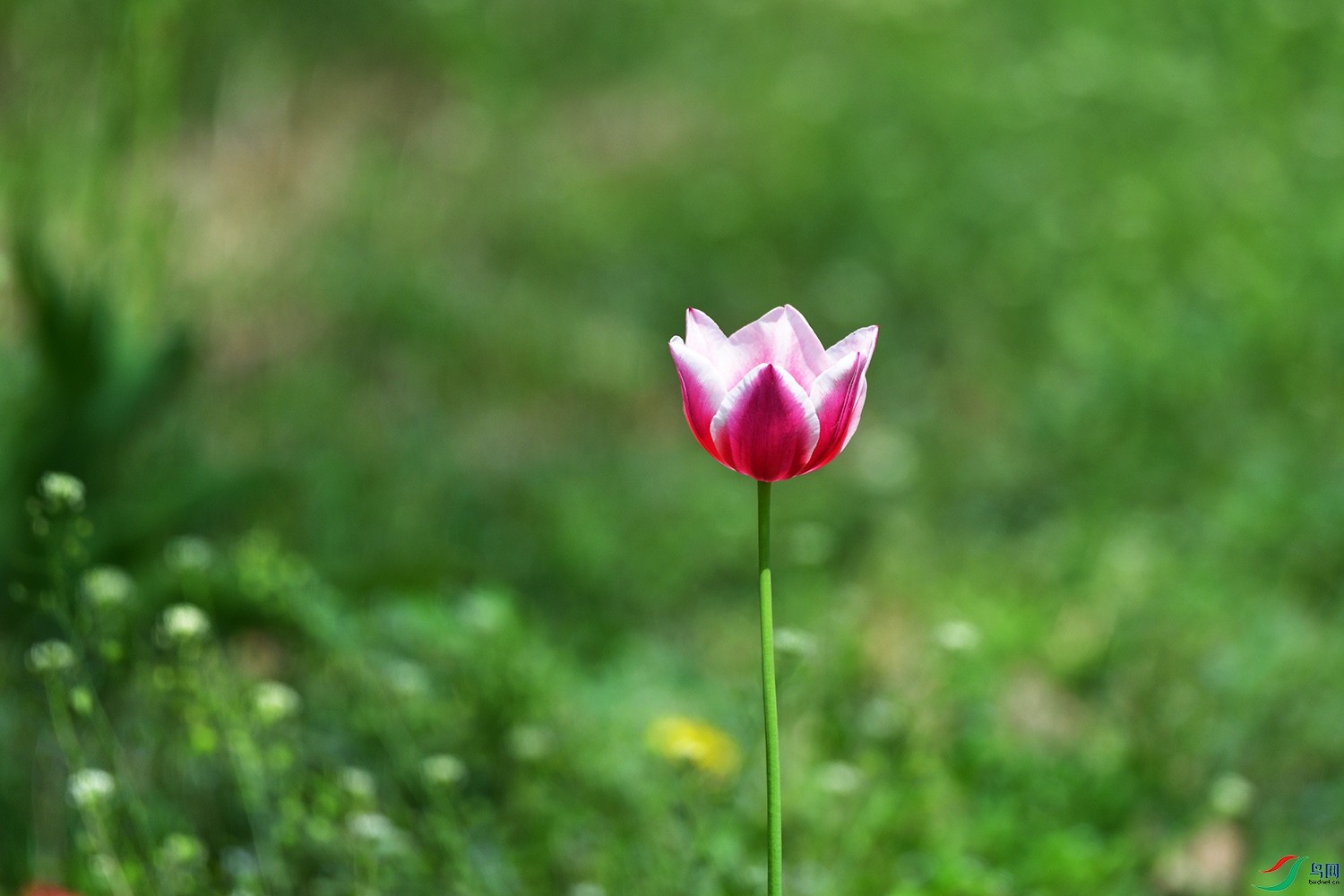 DSC_2962.jpg