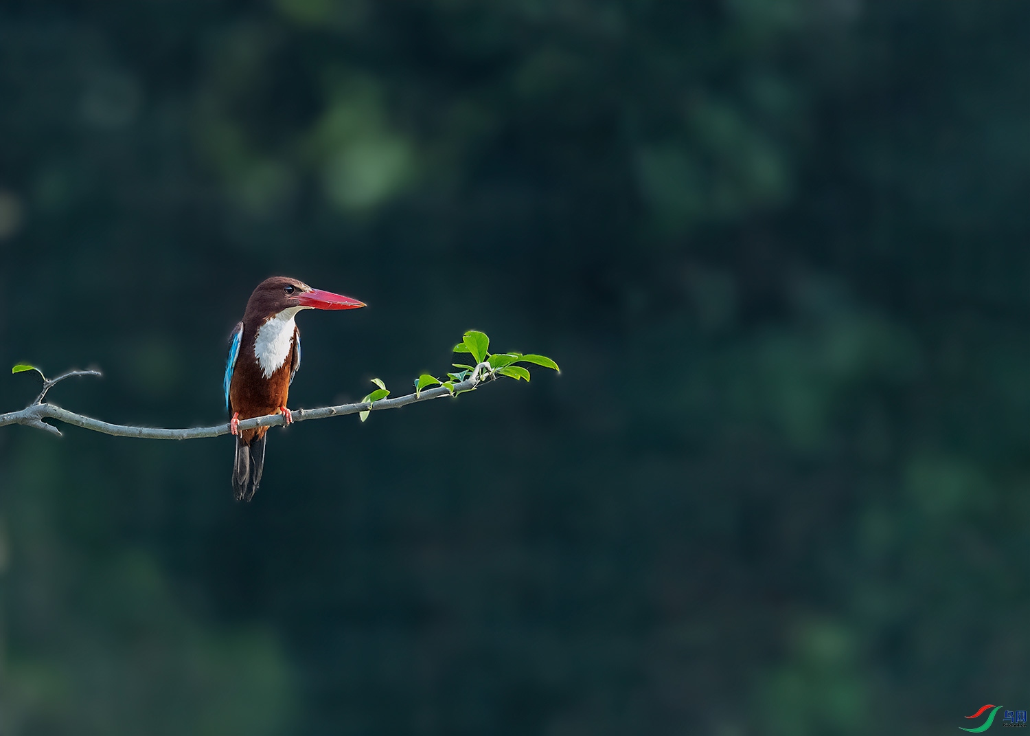 DSC_5565-2.jpg