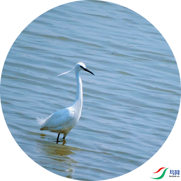 990 (9)_����.png