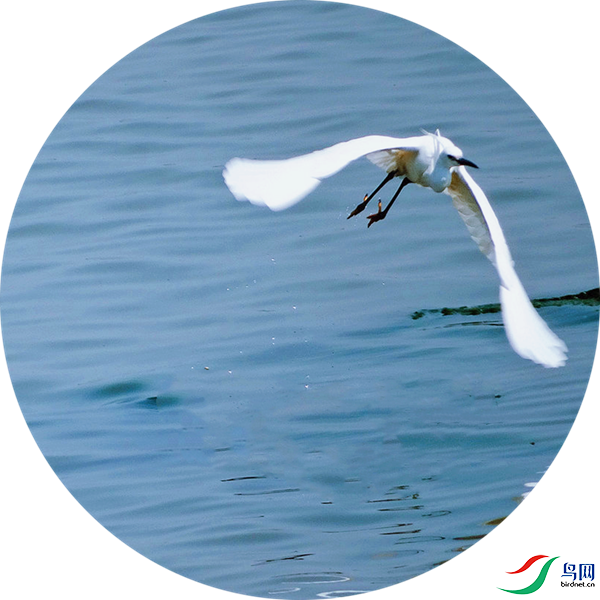 990 (11)_����.png