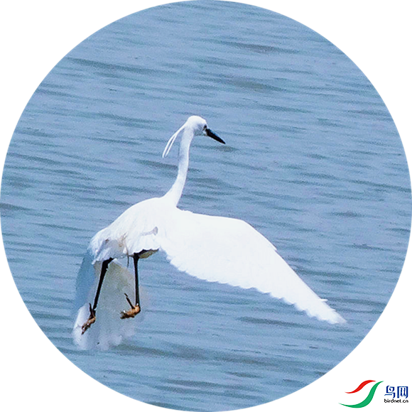 990 (13)_����_����.png