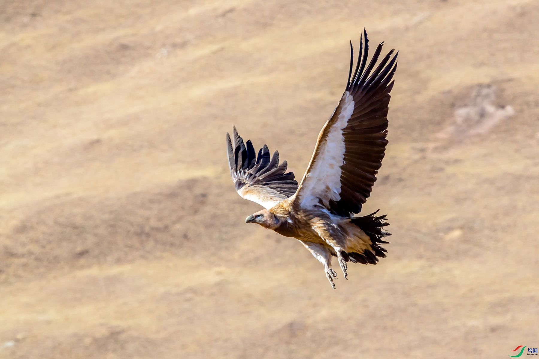 _U5I2854.jpg
