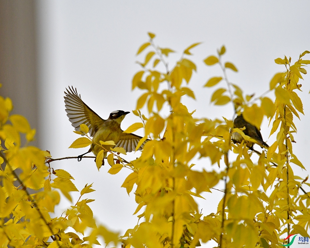 DSC_8152.JPG
