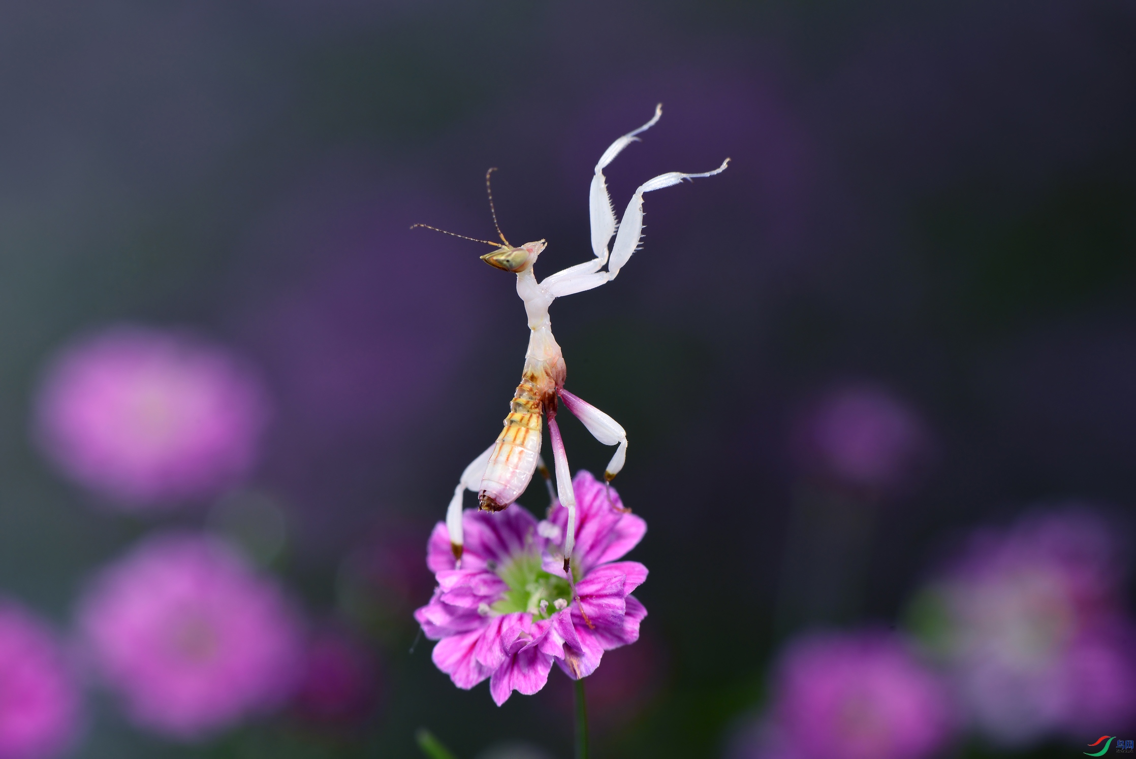 DSC_5838 ����.jpg