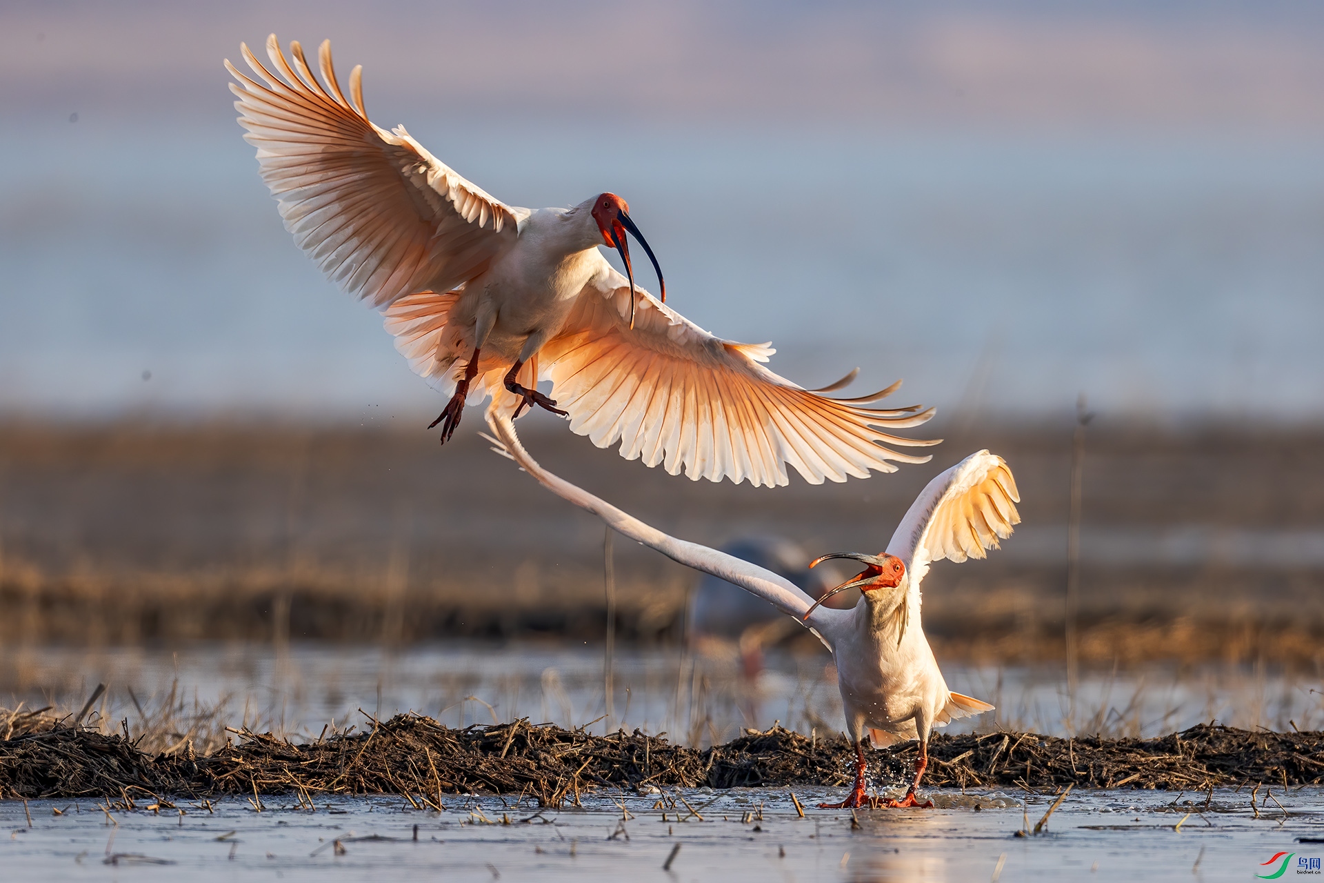 _32I1023 ����.jpg