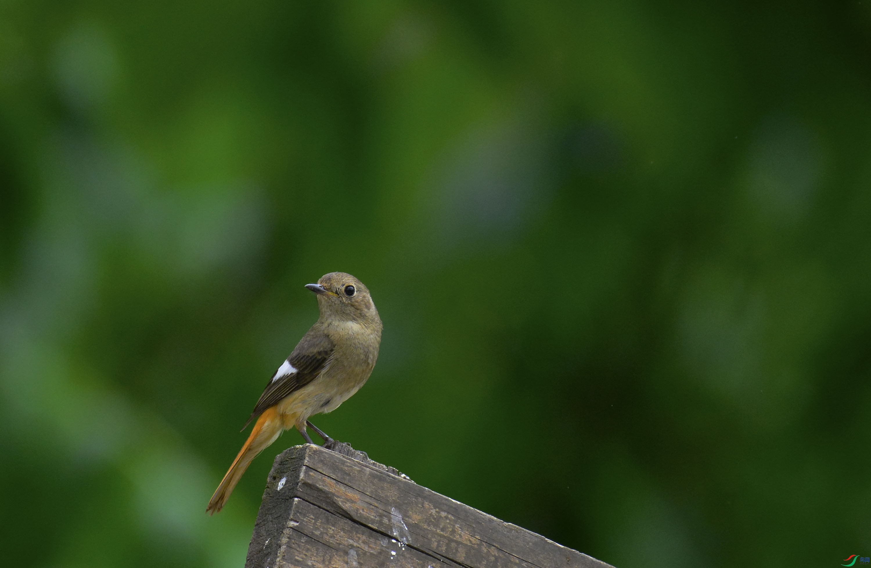 �����ϵ�С�B