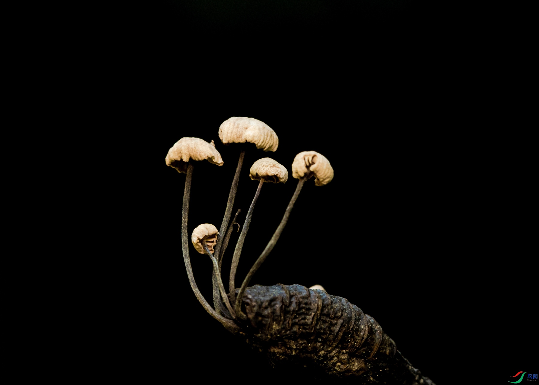 C13A6227a3.jpg