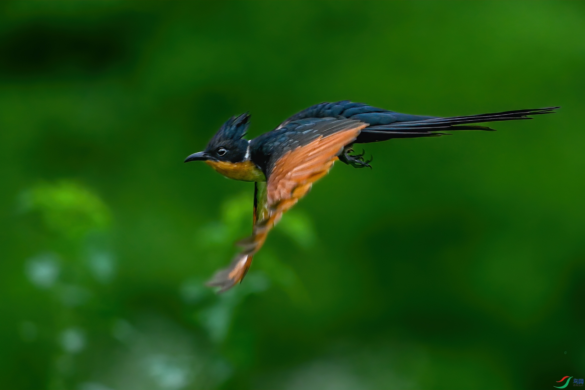 _DSC4251-1.jpg