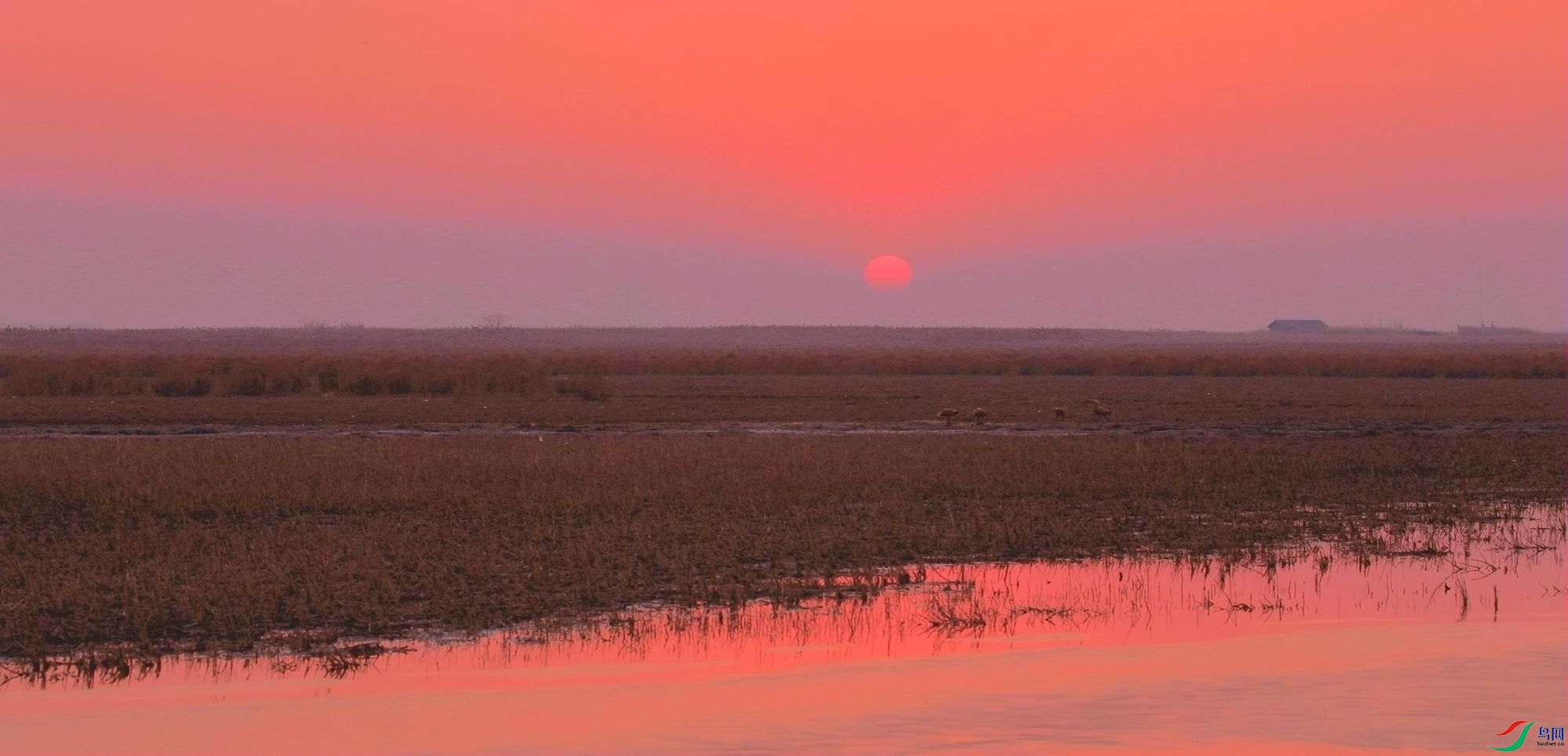 _MGL0601 3000_����.jpg