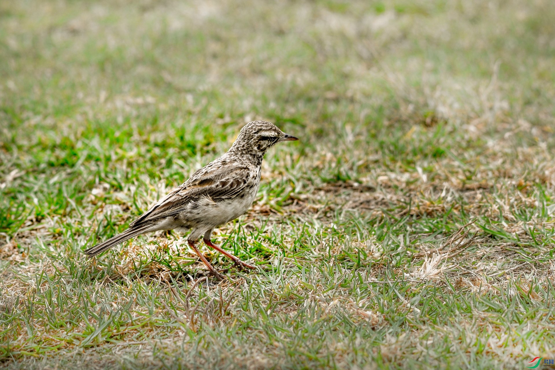 DSC_9422_����.jpg