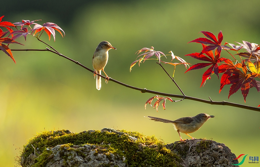 11_P8A6415.jpg