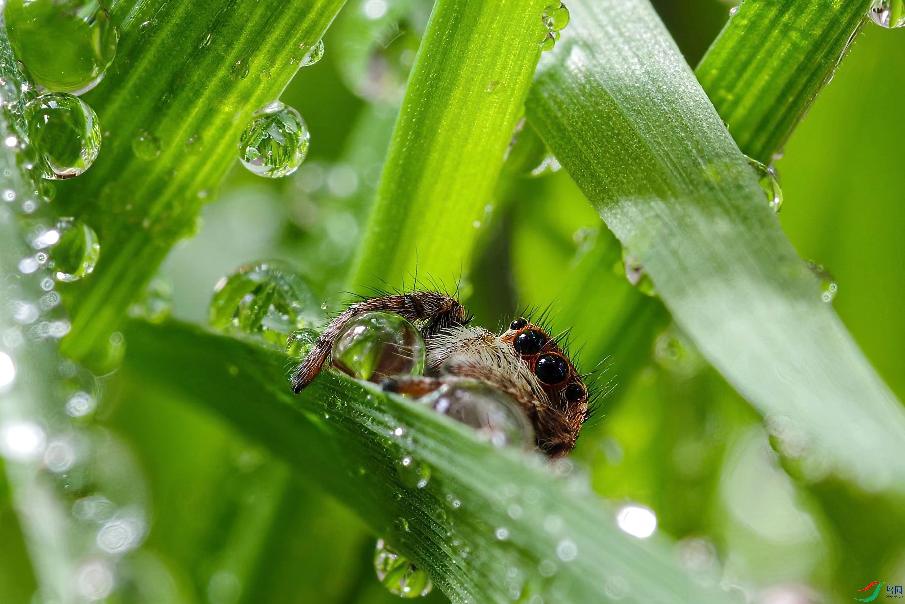 default (4)-sharpen-stabilize.jpg