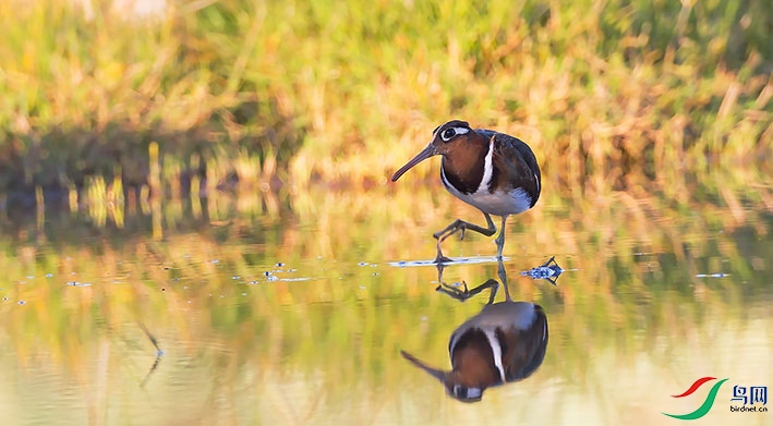 _D3P2443---���� - ���� - ����.jpg