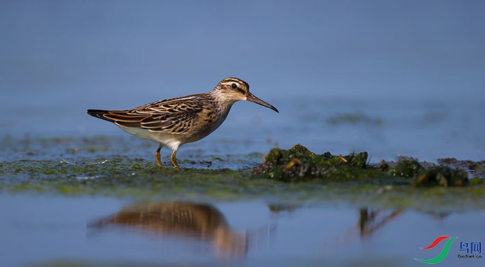 _D3P2145---���� - ���� - ����.jpg