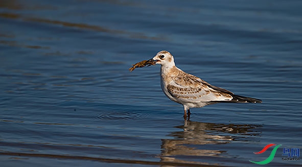 _F2I6890---���� - ���� (2) - ����.jpg