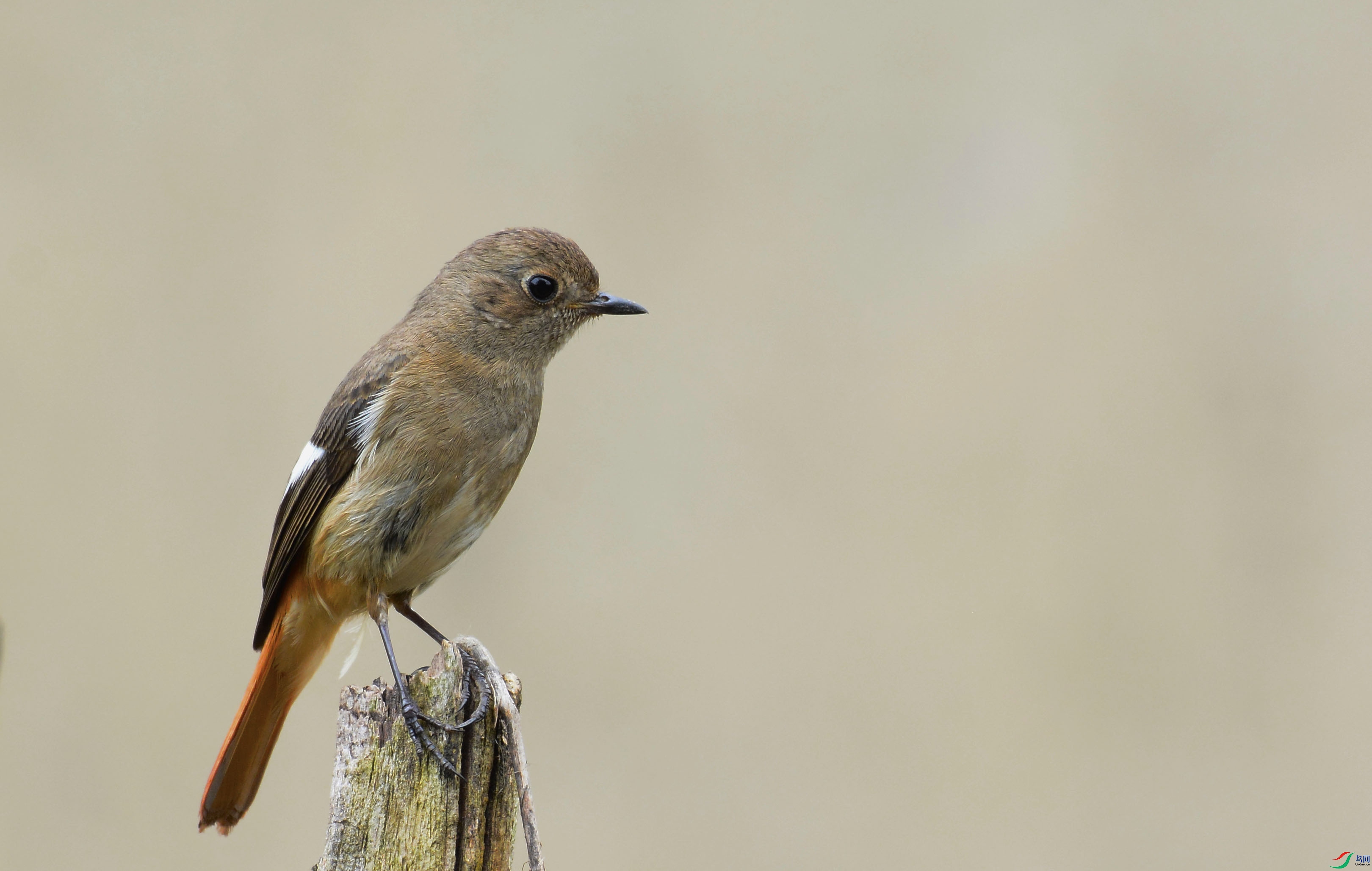 �o���ď������^