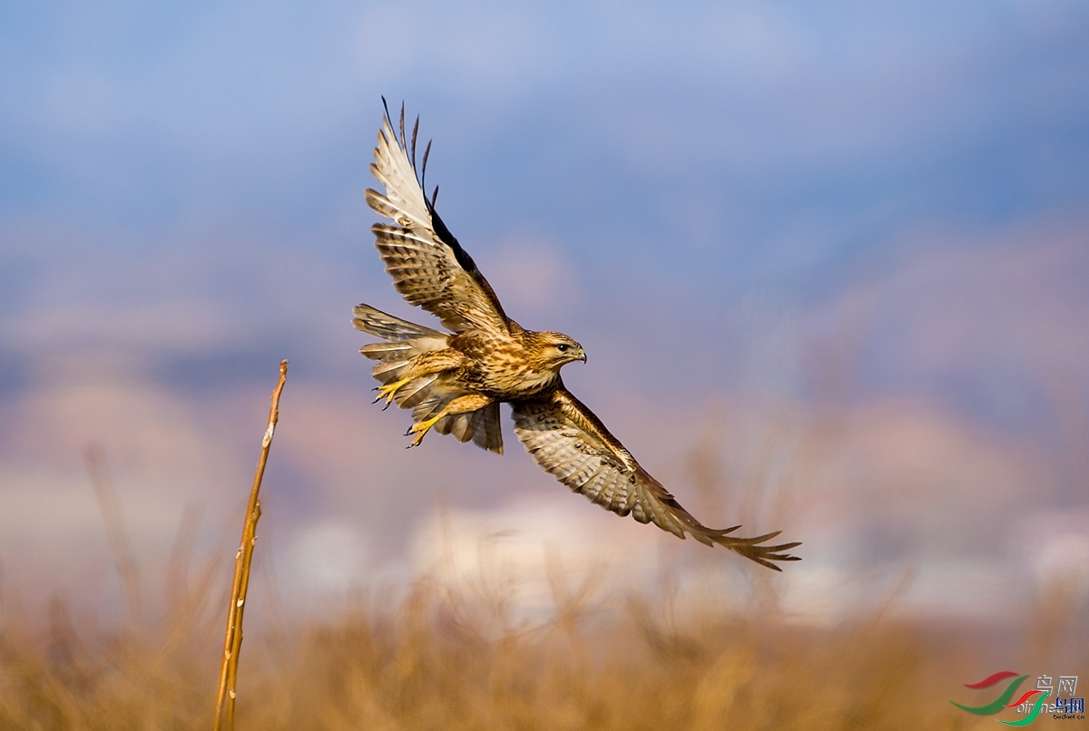 С¥��ݺ  ��ʦ����.jpg