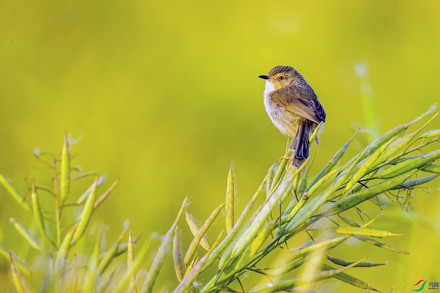 _U5I7733.jpg