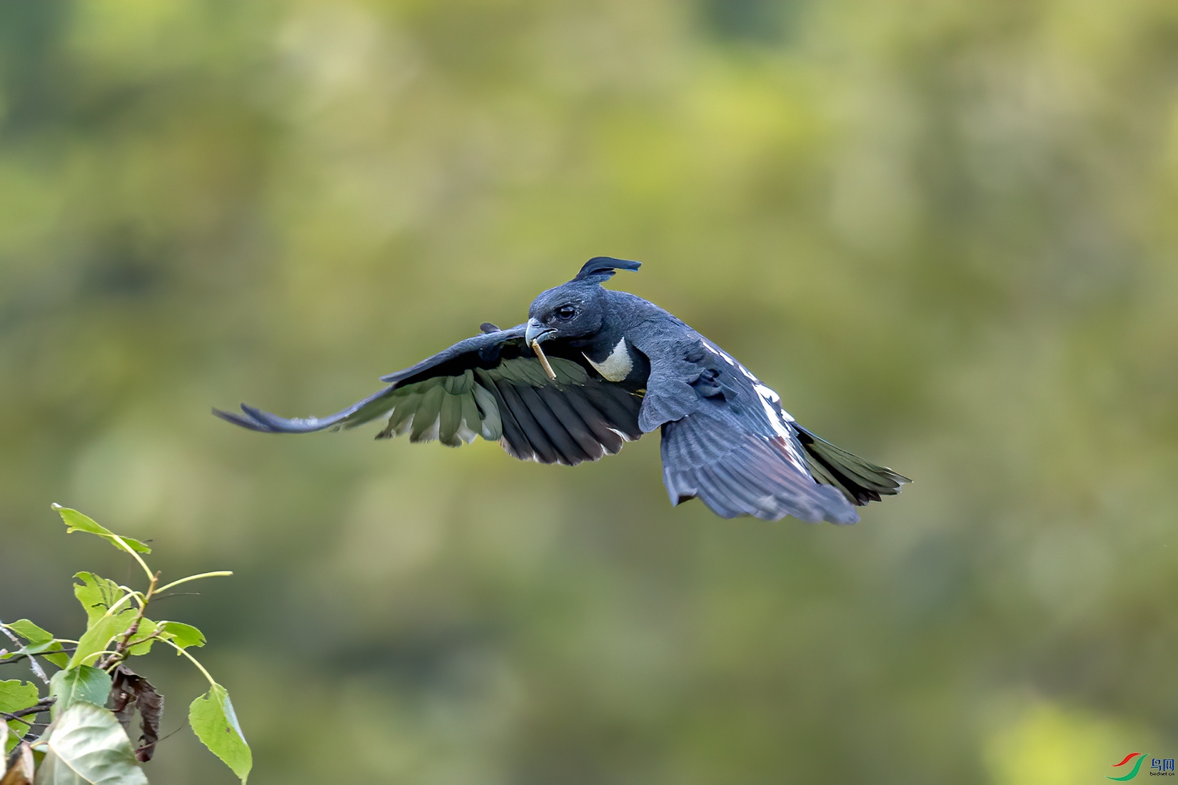 _32I0037 ����.jpg