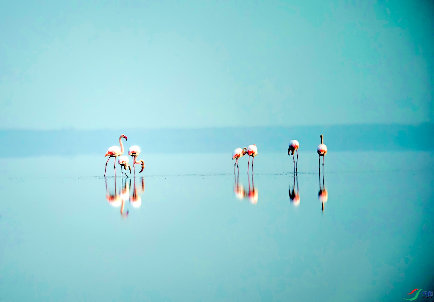 _E8J5635.jpg