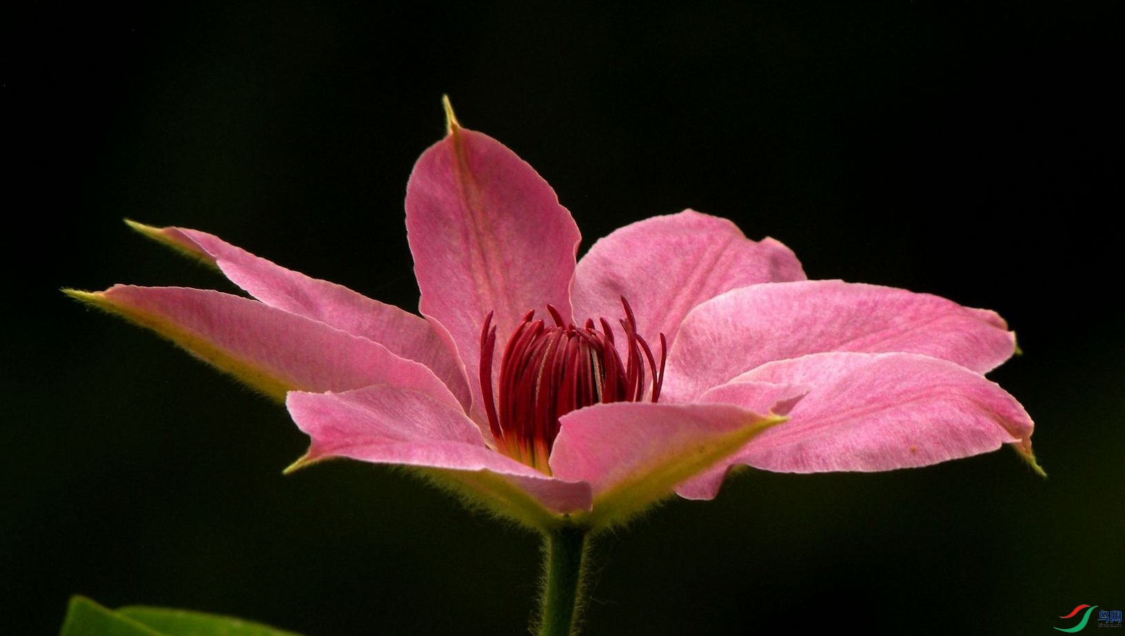 DSCN2833 - ����.jpg