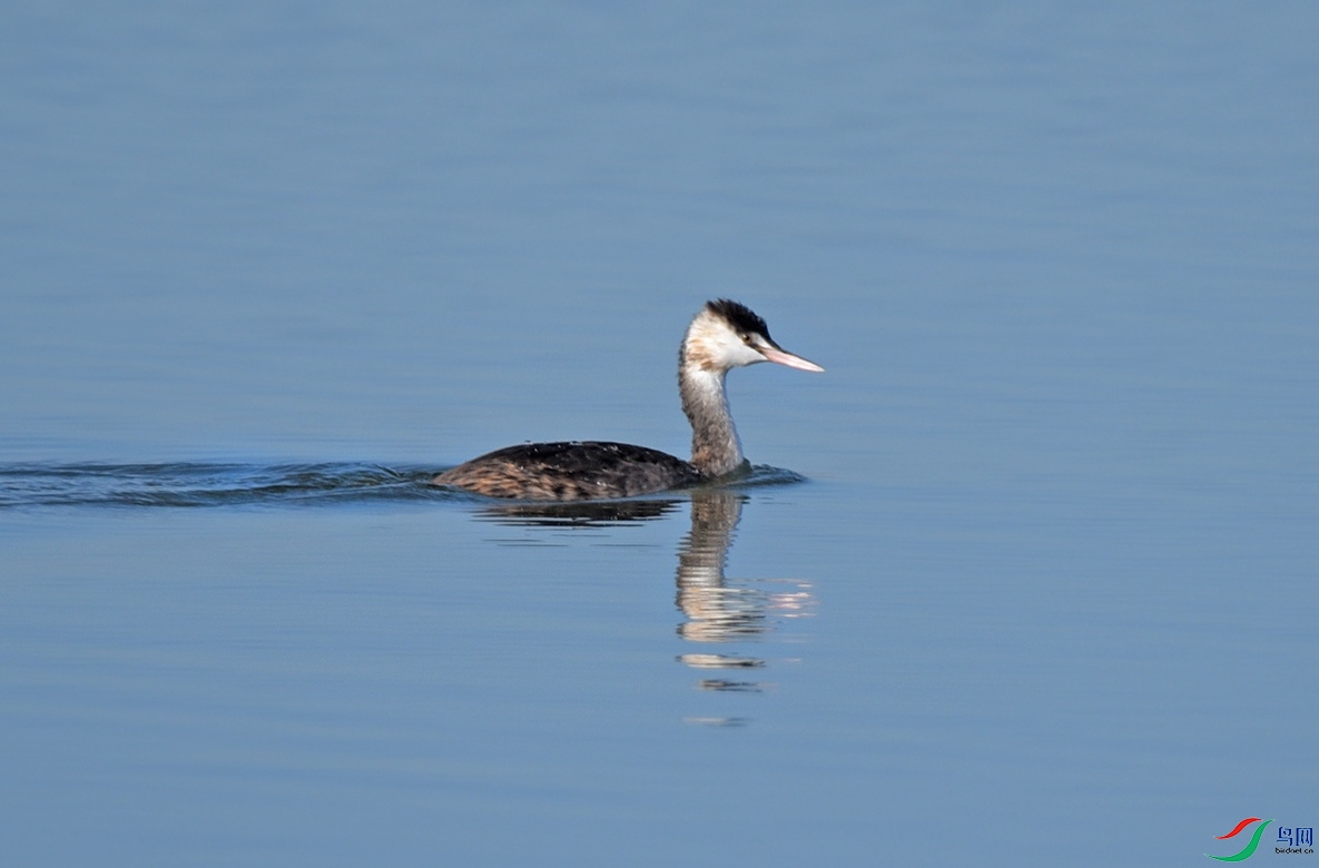 DSC_7786.jpg