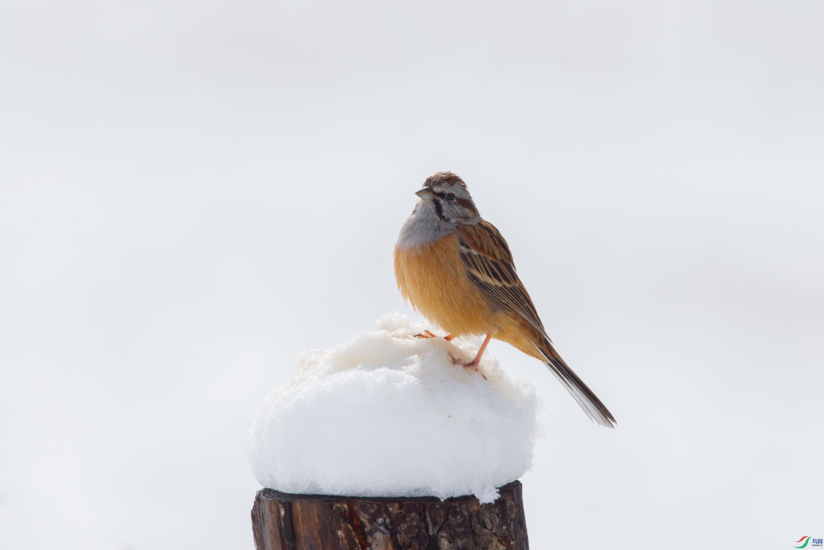 �������c (2).jpg