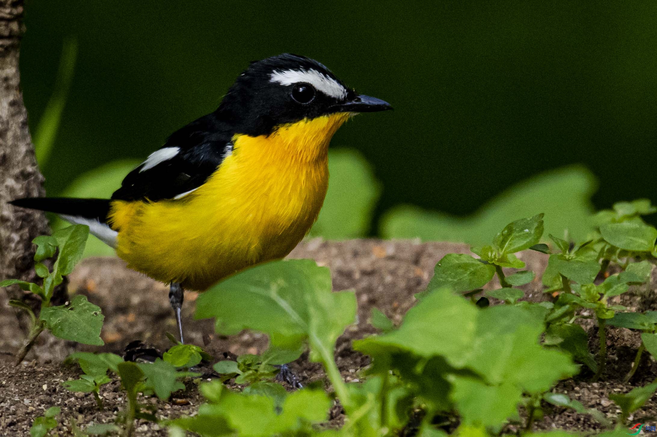 ��ü���l�������1