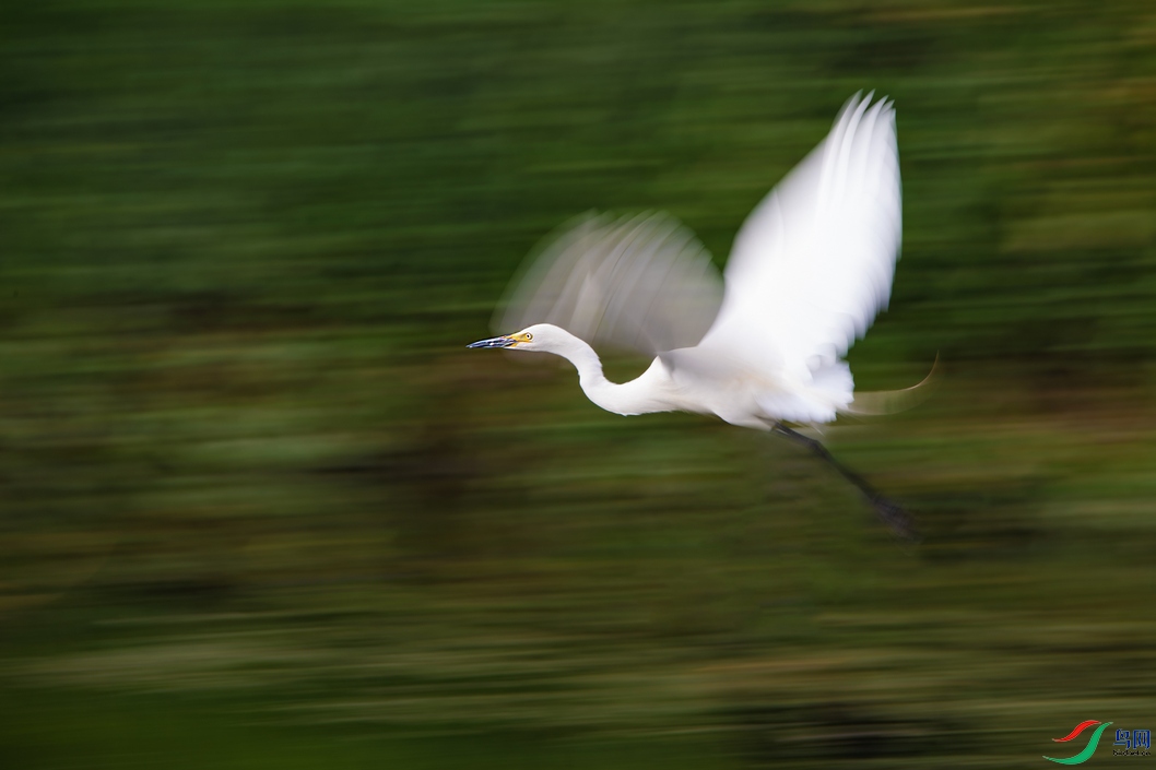 DSC_5951a.jpg