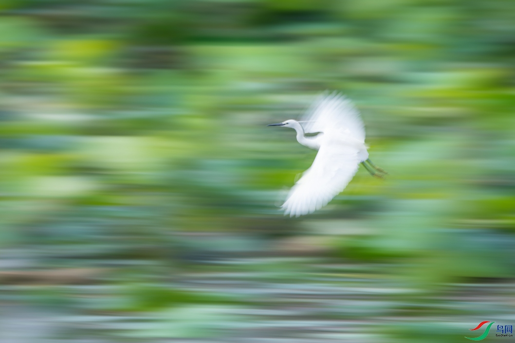 DSC_5922a.jpg