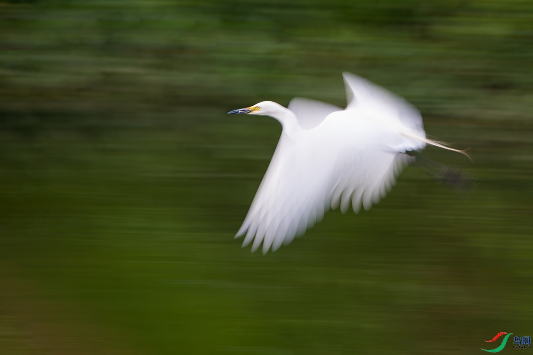 DSC_5954a.jpg